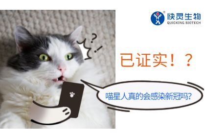 喵星人真的會(huì)感染新冠病毒嗎？已證實(shí)！